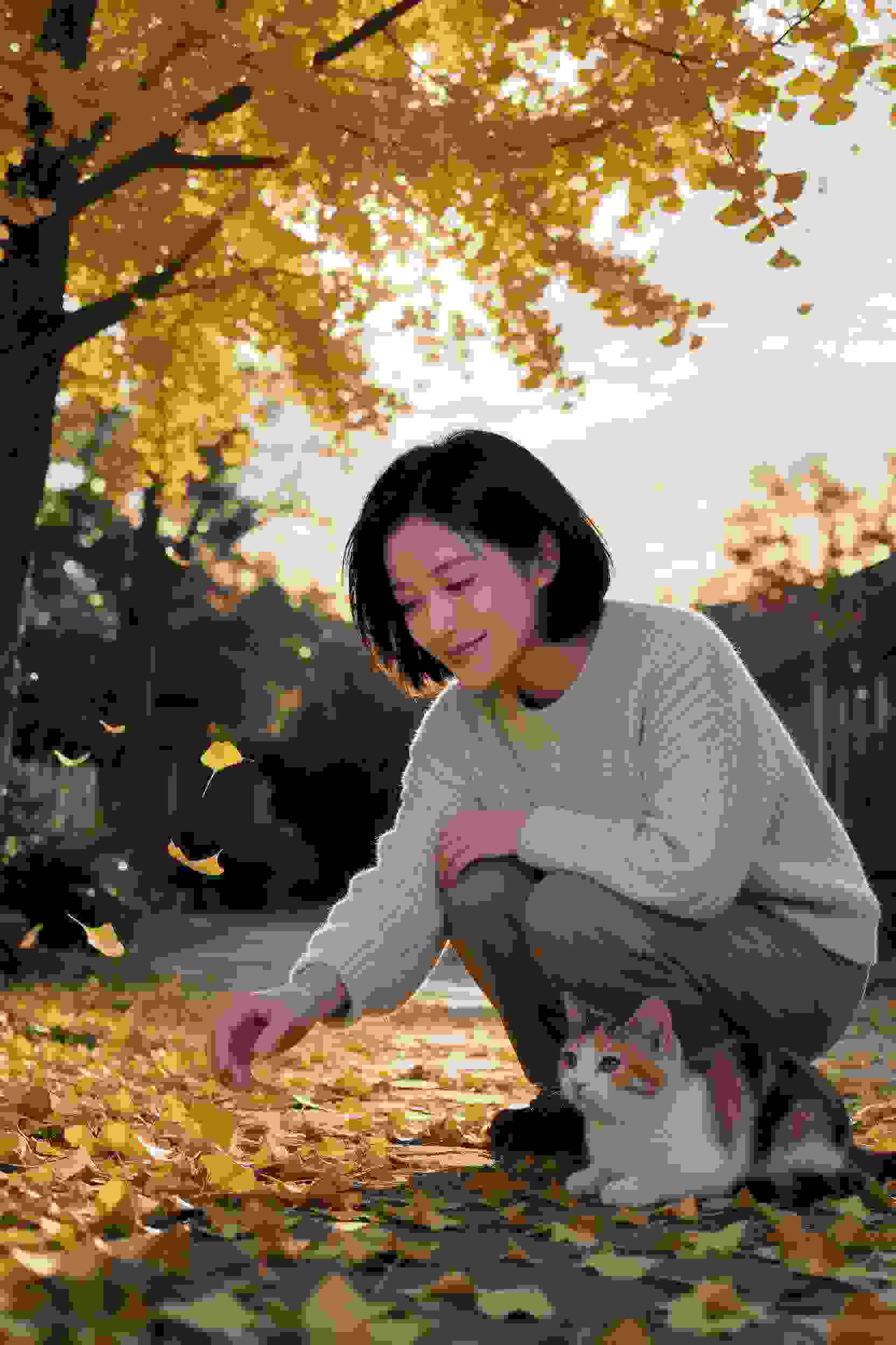 太阳的后裔